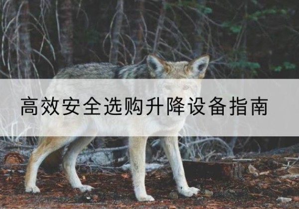 迎泽升降货梯厂家推荐-*安全选购升降设备指南