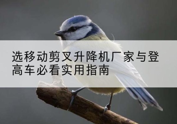 迎泽电动升降机厂家-选移动剪叉升降机厂家与登高车必看实用指南