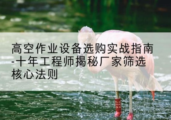 迎泽剪叉式升降机厂家-高空作业设备选购实战指南-十年工程师揭秘厂家筛选核心法则